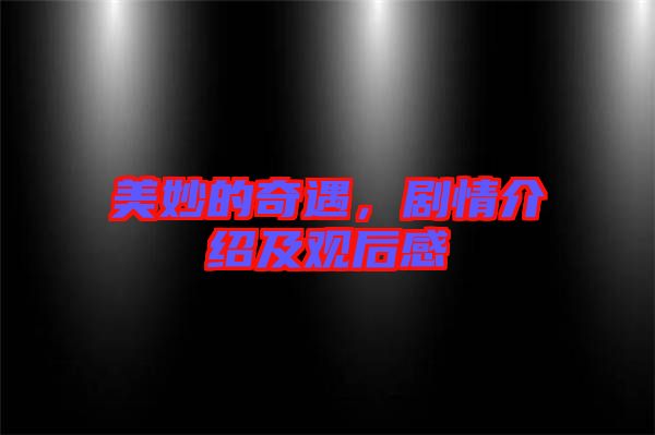 美妙的奇遇，劇情介紹及觀后感