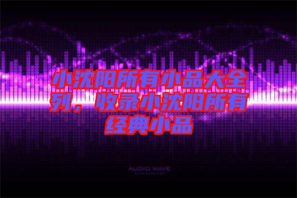 小沈陽所有小品大全列，收錄小沈陽所有經(jīng)典小品