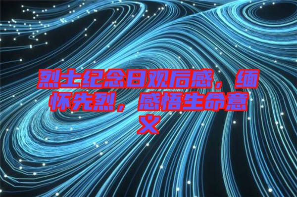 烈士紀念日觀后感，緬懷先烈，感悟生命意義