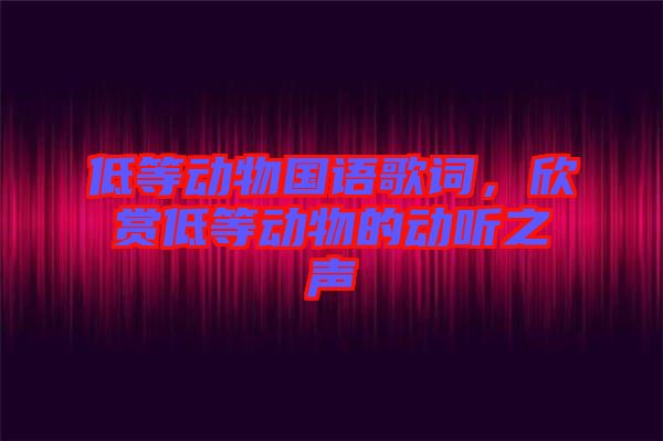 低等動(dòng)物國語歌詞，欣賞低等動(dòng)物的動(dòng)聽之聲