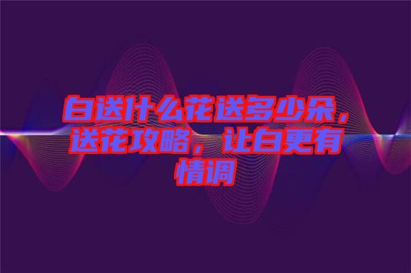 白送什么花送多少朵，送花攻略，讓白更有情調(diào)