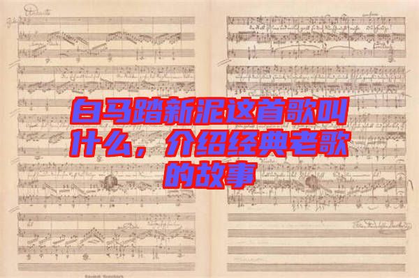 白馬踏新泥這首歌叫什么，介紹經(jīng)典老歌的故事