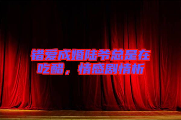 錯(cuò)愛(ài)成婚陸爺總是在吃醋，情感劇情析