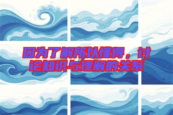 因為了解所以懂得，討論知識與理解的關系
