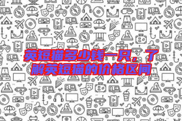 英短貓多少錢一只，了解英短貓的價(jià)格區(qū)間