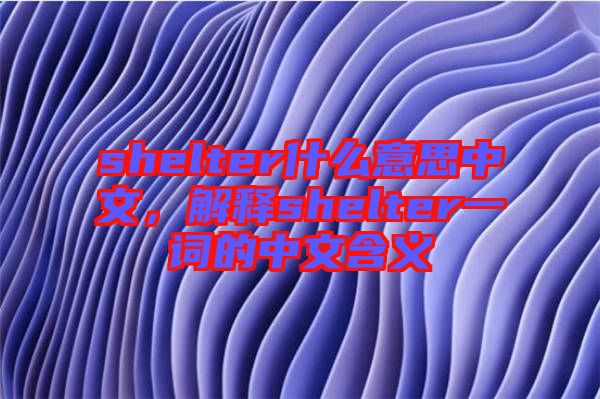 shelter什么意思中文，解釋shelter一詞的中文含義