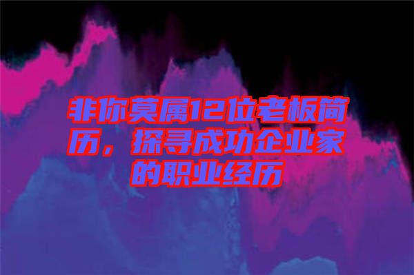非你莫屬12位老板簡歷，探尋成功企業(yè)家的職業(yè)經(jīng)歷