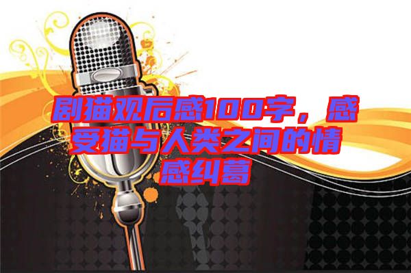 劇貓觀后感100字，感受貓與人類之間的情感糾葛