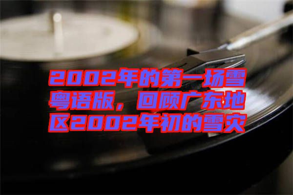 2002年的第一場雪粵語版，回顧廣東地區(qū)2002年初的雪災(zāi)