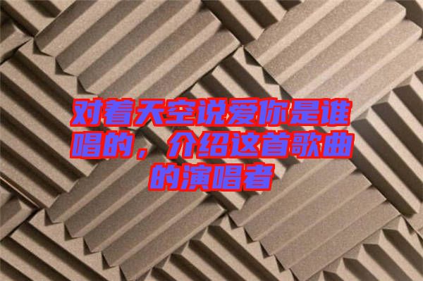 對著天空說愛你是誰唱的，介紹這首歌曲的演唱者