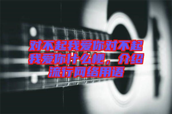 對(duì)不起我愛你對(duì)不起我愛你什么梗，介紹流行網(wǎng)絡(luò)用語(yǔ)