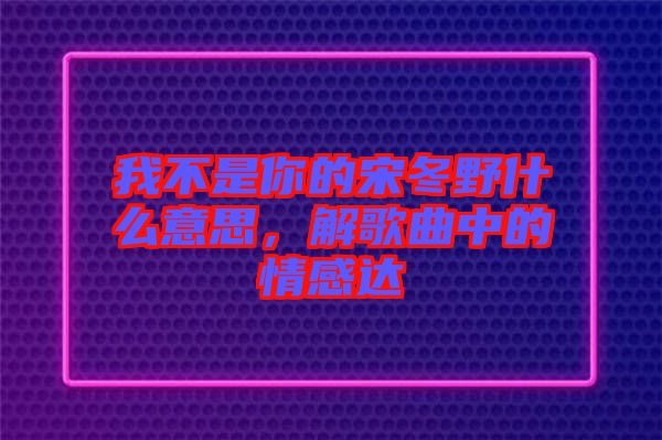 我不是你的宋冬野什么意思，解歌曲中的情感達(dá)