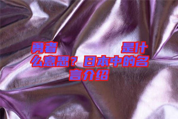勇者のくせになまいきだ是什么意思？日本中的名言介紹