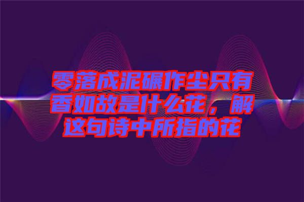 零落成泥碾作塵只有香如故是什么花，解這句詩中所指的花