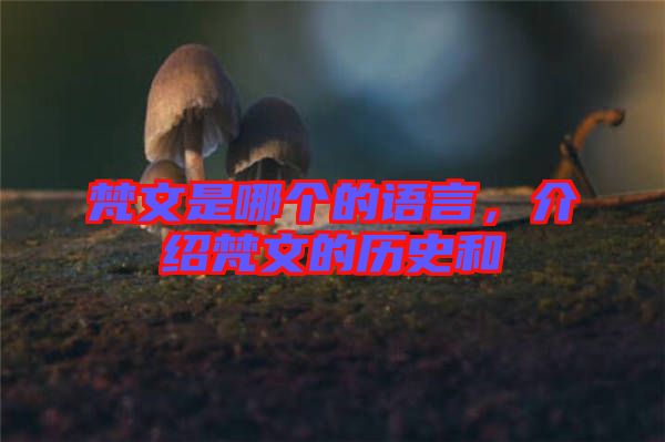 梵文是哪個的語言，介紹梵文的歷史和