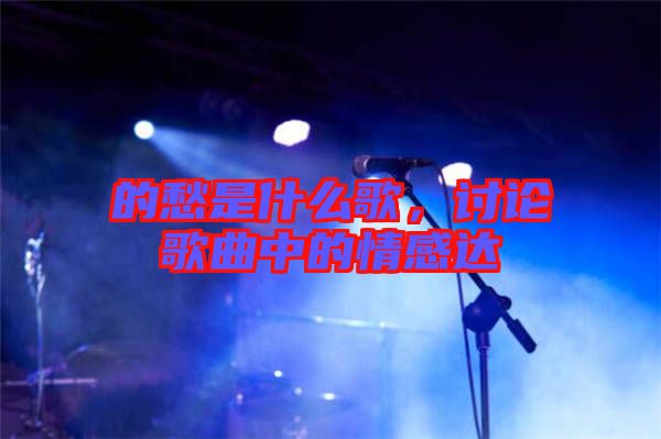 的愁是什么歌，討論歌曲中的情感達(dá)