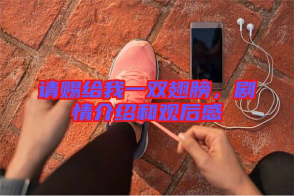 請賜給我一雙翅膀，劇情介紹和觀后感