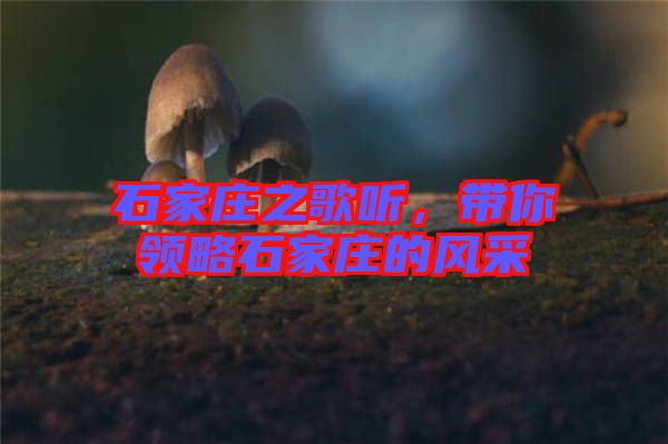 石家莊之歌聽，帶你領(lǐng)略石家莊的風(fēng)采
