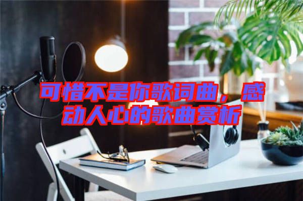可惜不是你歌詞曲，感動(dòng)人心的歌曲賞析