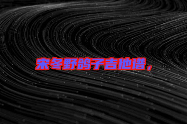宋冬野鴿子吉他譜，