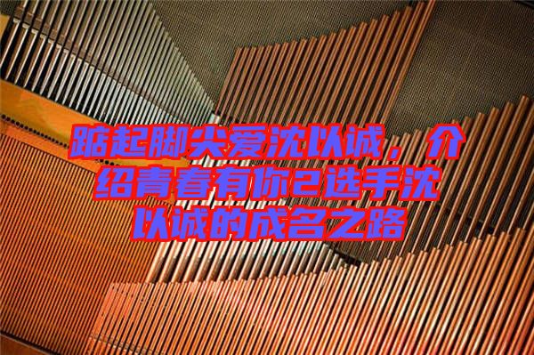 踮起腳尖愛沈以誠，介紹青春有你2選手沈以誠的成名之路