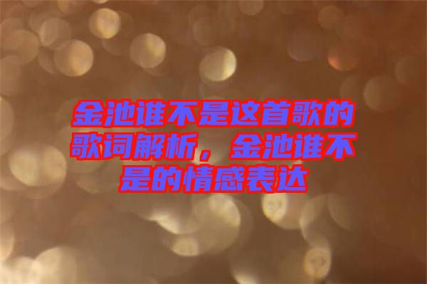 金池誰(shuí)不是這首歌的歌詞解析，金池誰(shuí)不是的情感表達(dá)
