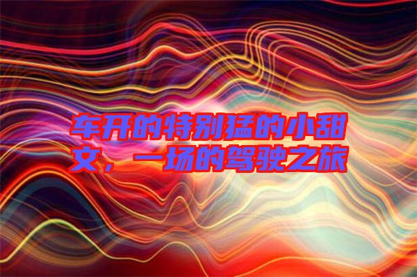 車開的特別猛的小甜文，一場的駕駛之旅