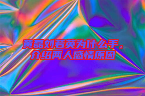 黃磊劉若英為什么手，介紹兩人感情原因