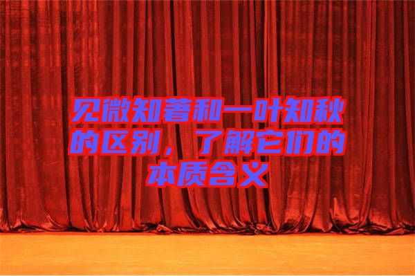 見微知著和一葉知秋的區(qū)別，了解它們的本質(zhì)含義