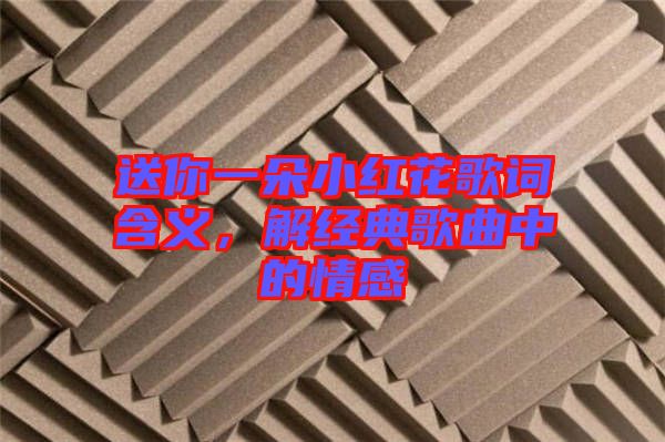送你一朵小紅花歌詞含義，解經(jīng)典歌曲中的情感