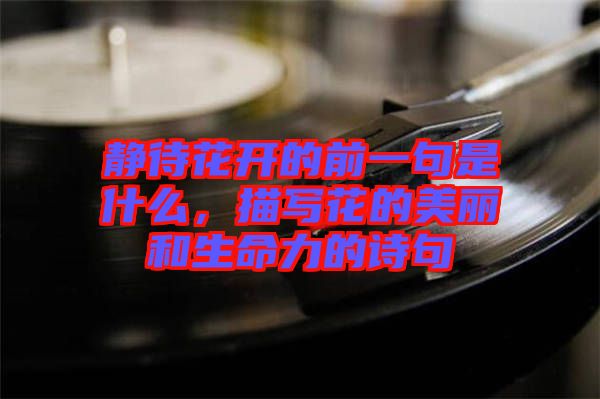 靜待花開(kāi)的前一句是什么，描寫(xiě)花的美麗和生命力的詩(shī)句