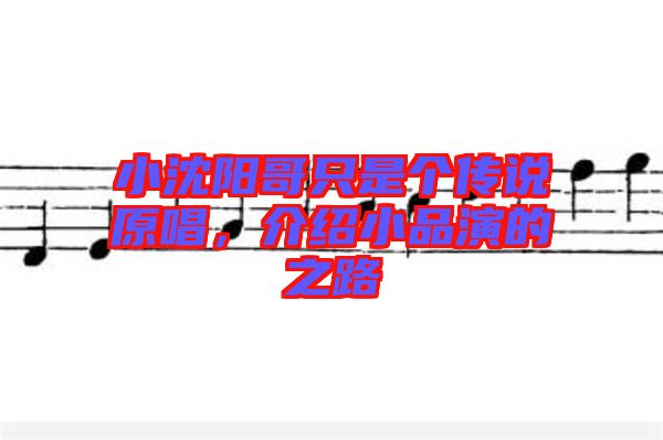 小沈陽哥只是個傳說原唱，介紹小品演的之路