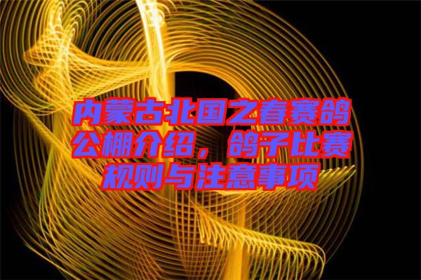 內(nèi)蒙古北國之春賽鴿公棚介紹，鴿子比賽規(guī)則與注意事項(xiàng)