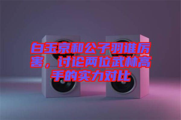 白玉京和公子羽誰厲害，討論兩位武林高手的實(shí)力對比