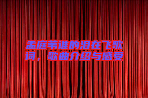 孟庭葦誰的淚在飛歌詞，歌曲介紹與感受
