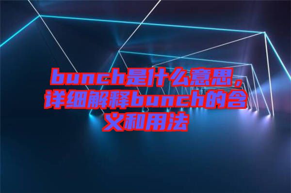 bunch是什么意思，詳細(xì)解釋bunch的含義和用法