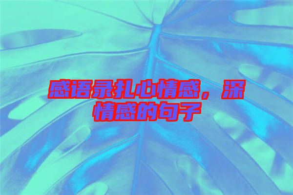 感語(yǔ)錄扎心情感，深情感的句子