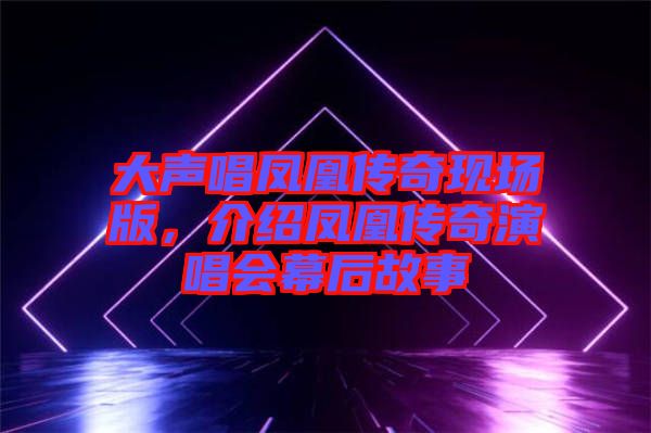 大聲唱鳳凰傳奇現(xiàn)場(chǎng)版，介紹鳳凰傳奇演唱會(huì)幕后故事