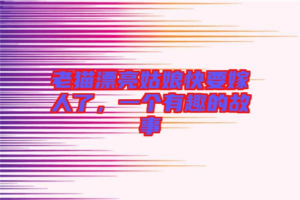 老貓漂亮姑娘快要嫁人了，一個有趣的故事