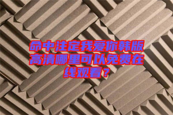 命中注定我愛你韓版高清哪里可以免費(fèi)在線觀看？