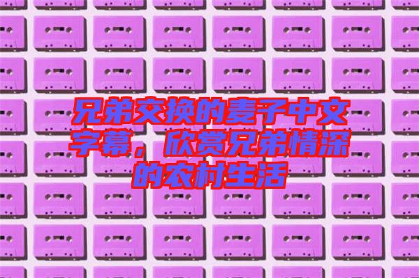 兄弟交換的麥子中文字幕，欣賞兄弟情深的農(nóng)村生活