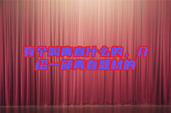 有個叫青春什么的，介紹一部青春題材的