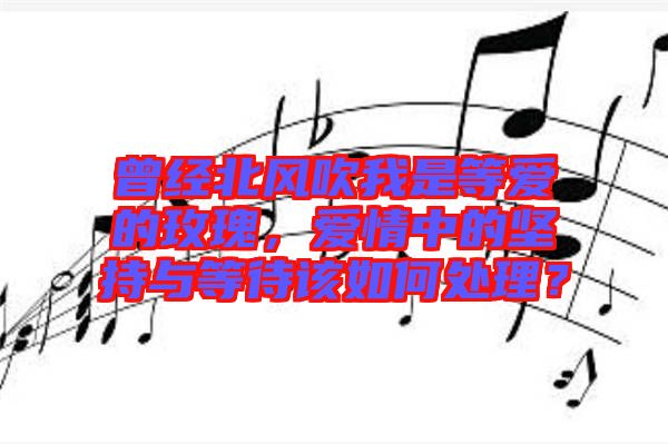 曾經(jīng)北風(fēng)吹我是等愛的玫瑰，愛情中的堅(jiān)持與等待該如何處理？