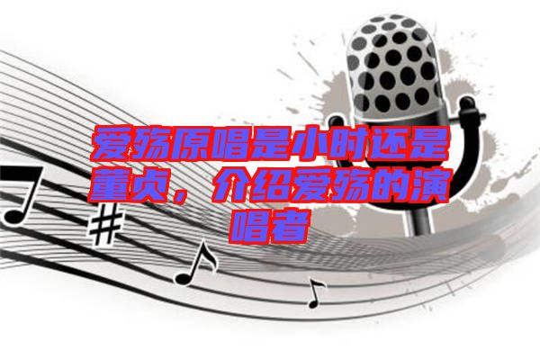 愛殤原唱是小時還是董貞，介紹愛殤的演唱者