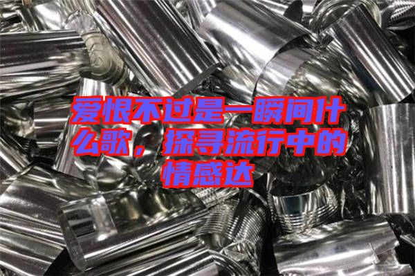 愛恨不過是一瞬間什么歌，探尋流行中的情感達(dá)