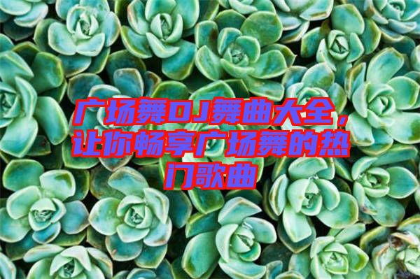廣場舞DJ舞曲大全，讓你暢享廣場舞的熱門歌曲