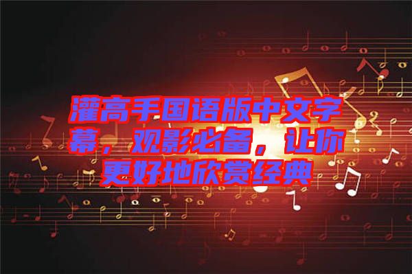 灌高手國語版中文字幕，觀影必備，讓你更好地欣賞經(jīng)典