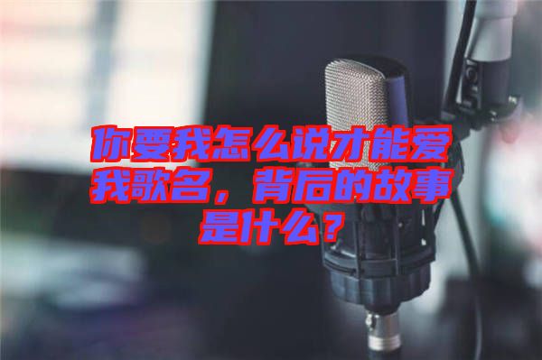 你要我怎么說才能愛我歌名，背后的故事是什么？