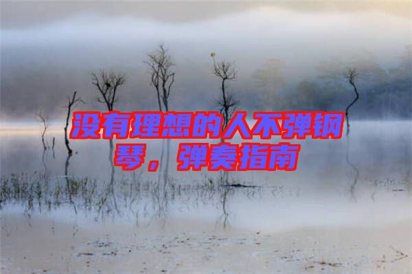 沒有理想的人不彈鋼琴，彈奏指南