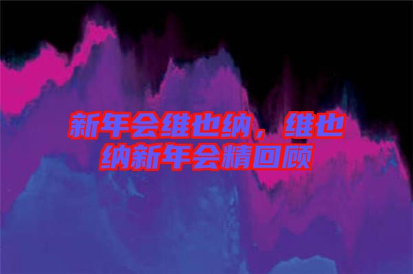 新年會(huì)維也納，維也納新年會(huì)精回顧